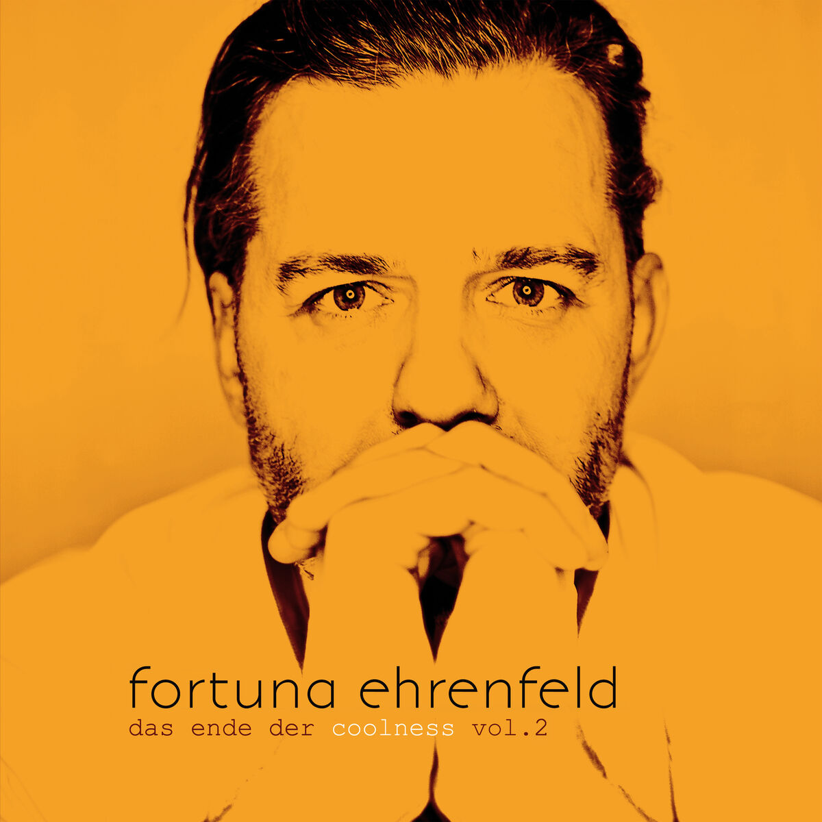 Album cover of Zwei Himmel