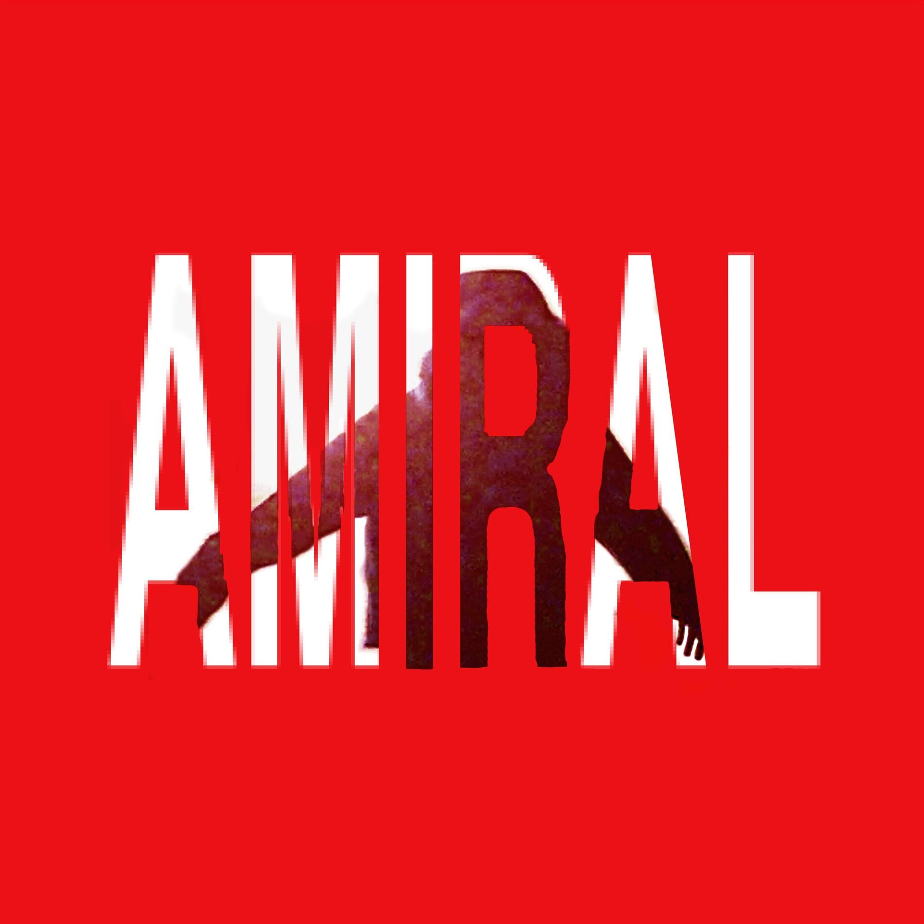 Album cover of Amiral