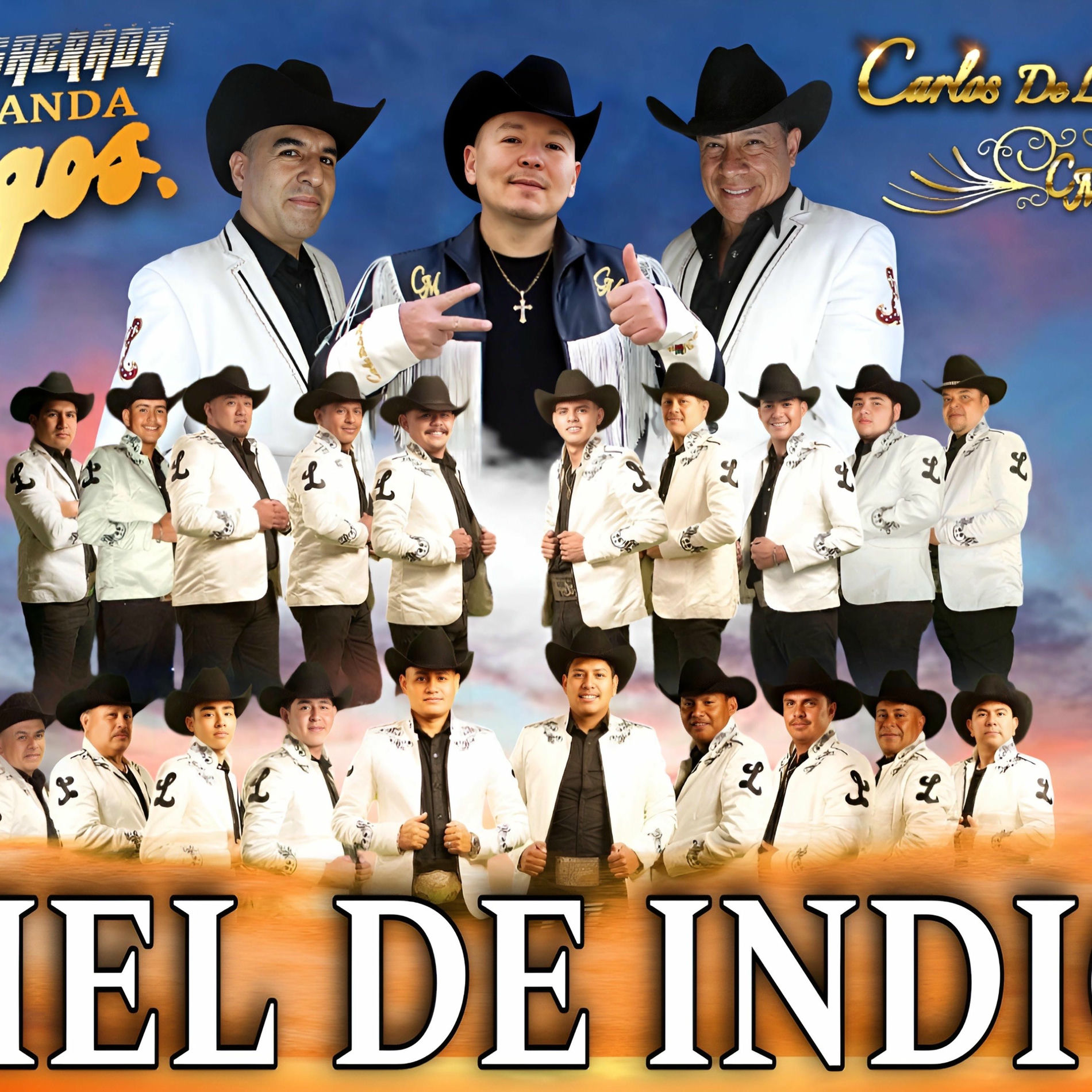 Album cover of piel de indio. (feat. Banda Los Lagos)