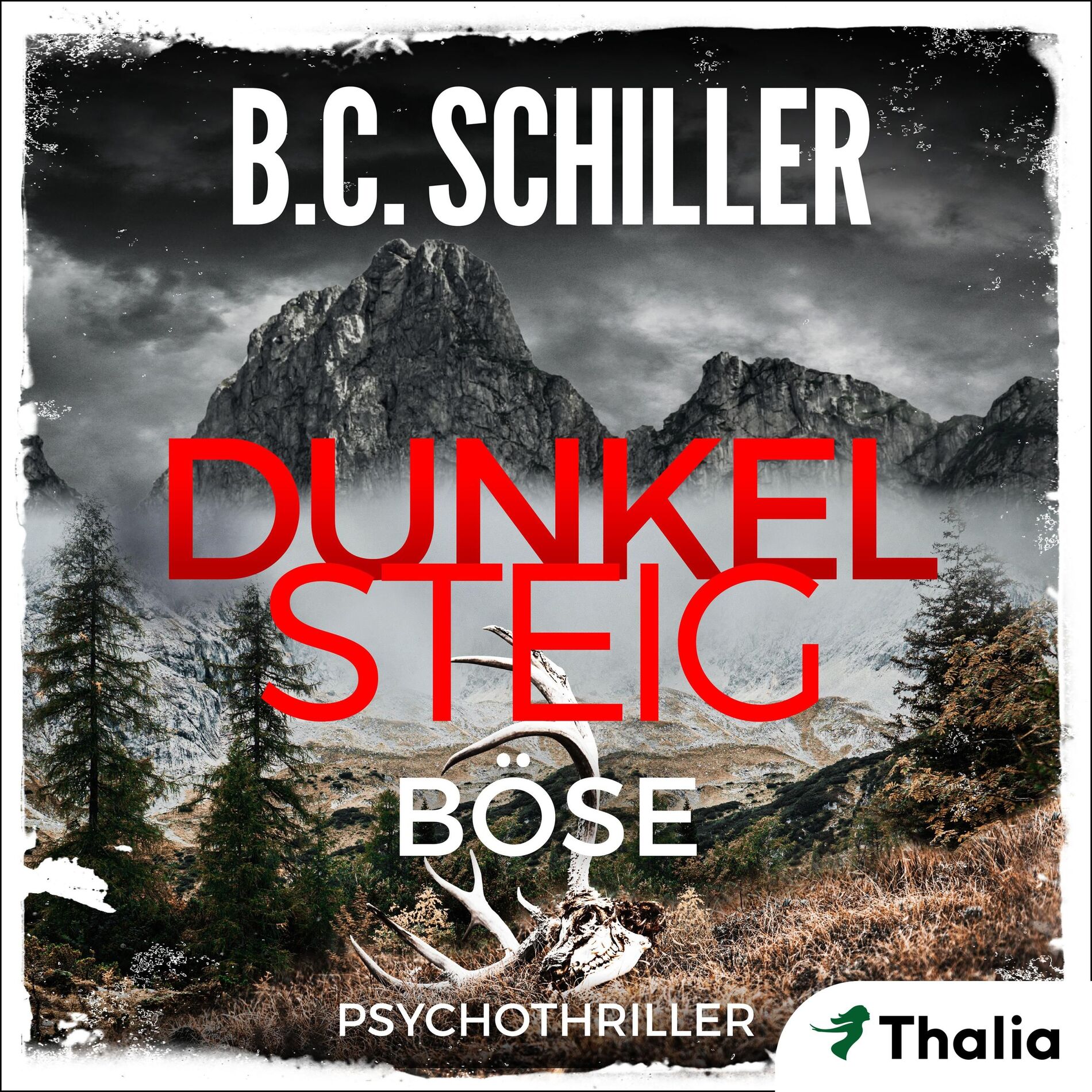 Album cover of Dunkelsteig - Böse (Band 3 - Dunkelsteig-Trilogie)