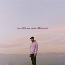 Cover of Maybe This Was Supposed To Happen