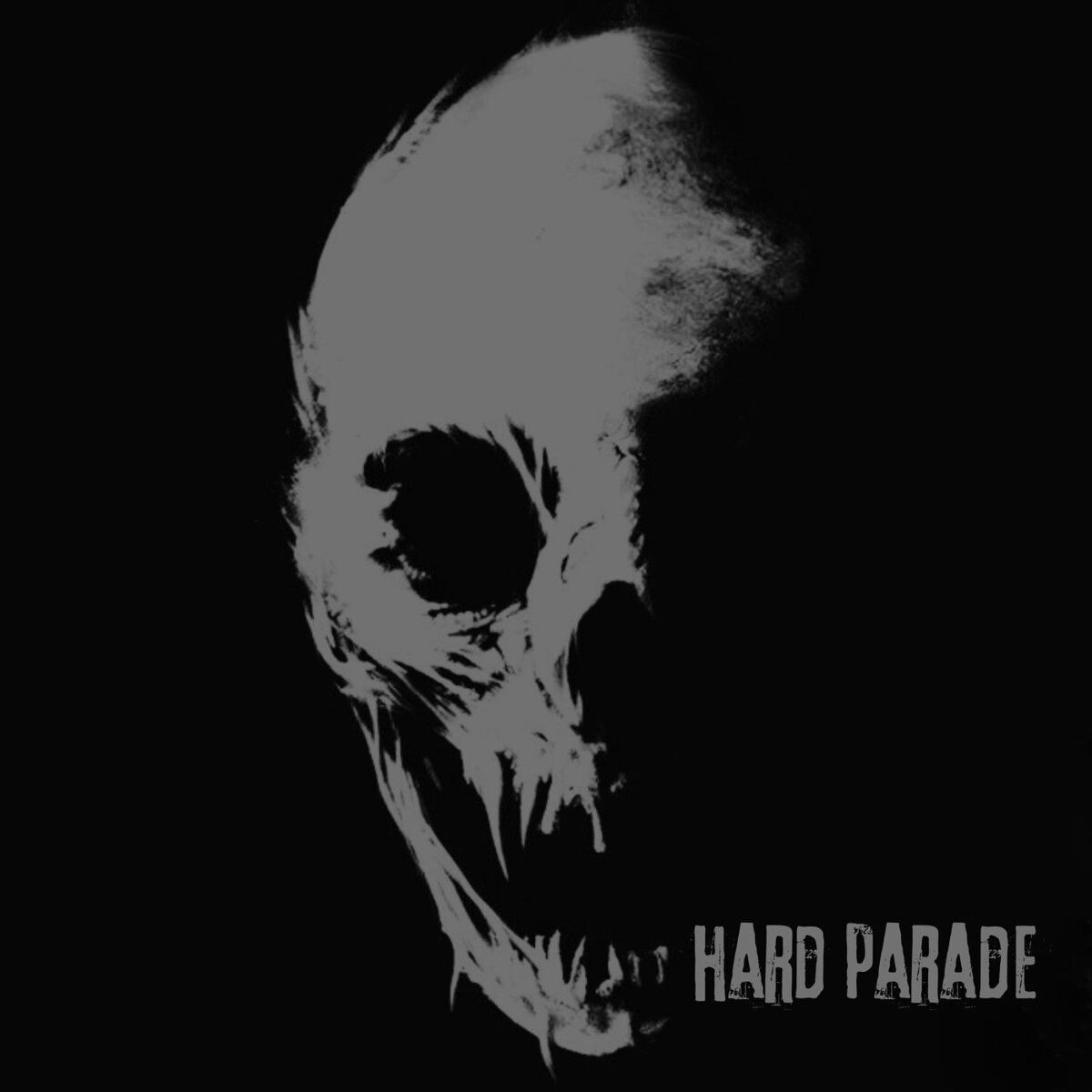Album cover of Hard Parade