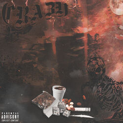 Cover of Crazy