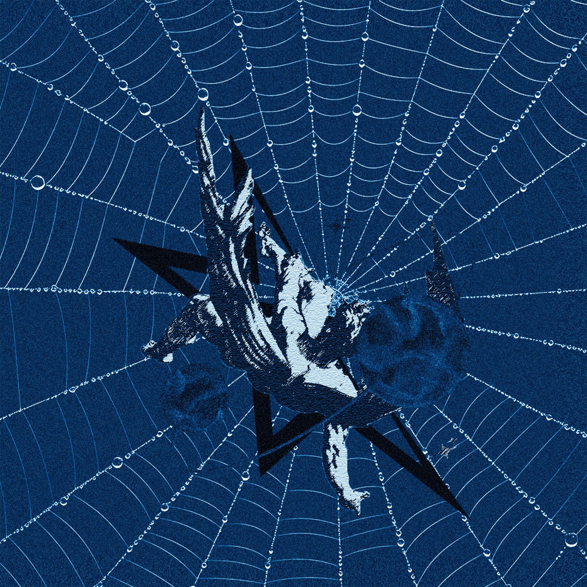 Album cover of ICEBERG