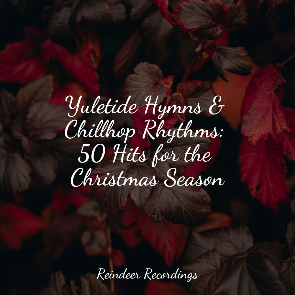 Picture of Yuletide Hymns & Chillhop Rhythms: 50 Hits for the Christmas Season
