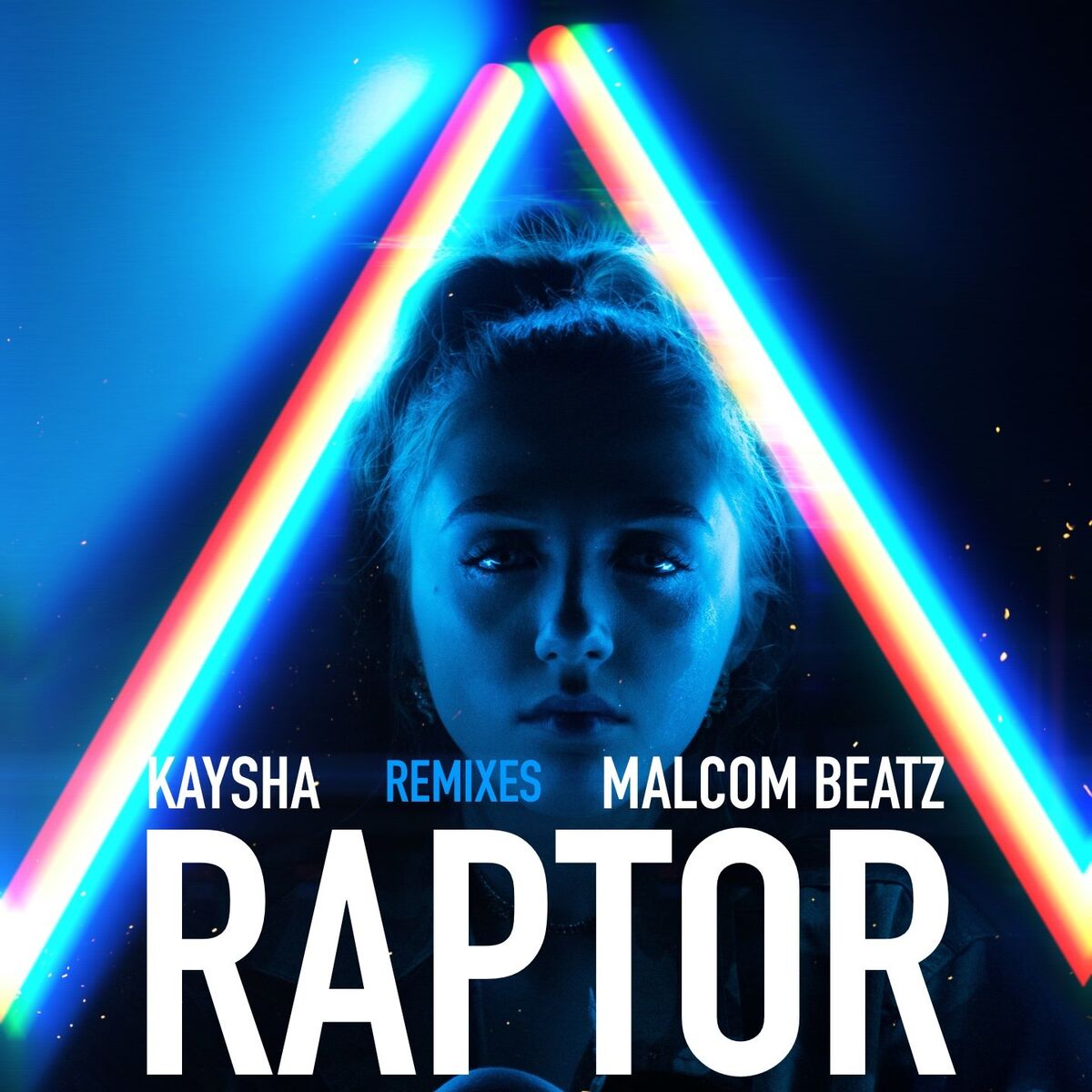 Album cover of Raptor (Remixes)