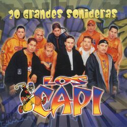 Cover of 20 Grandes Sonideras