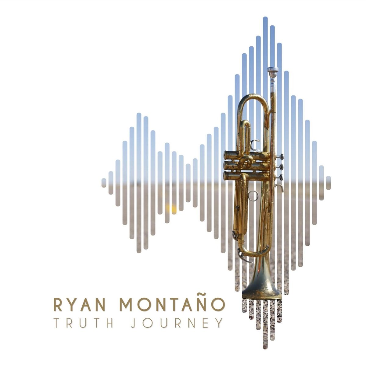 Album cover of Truth Journey