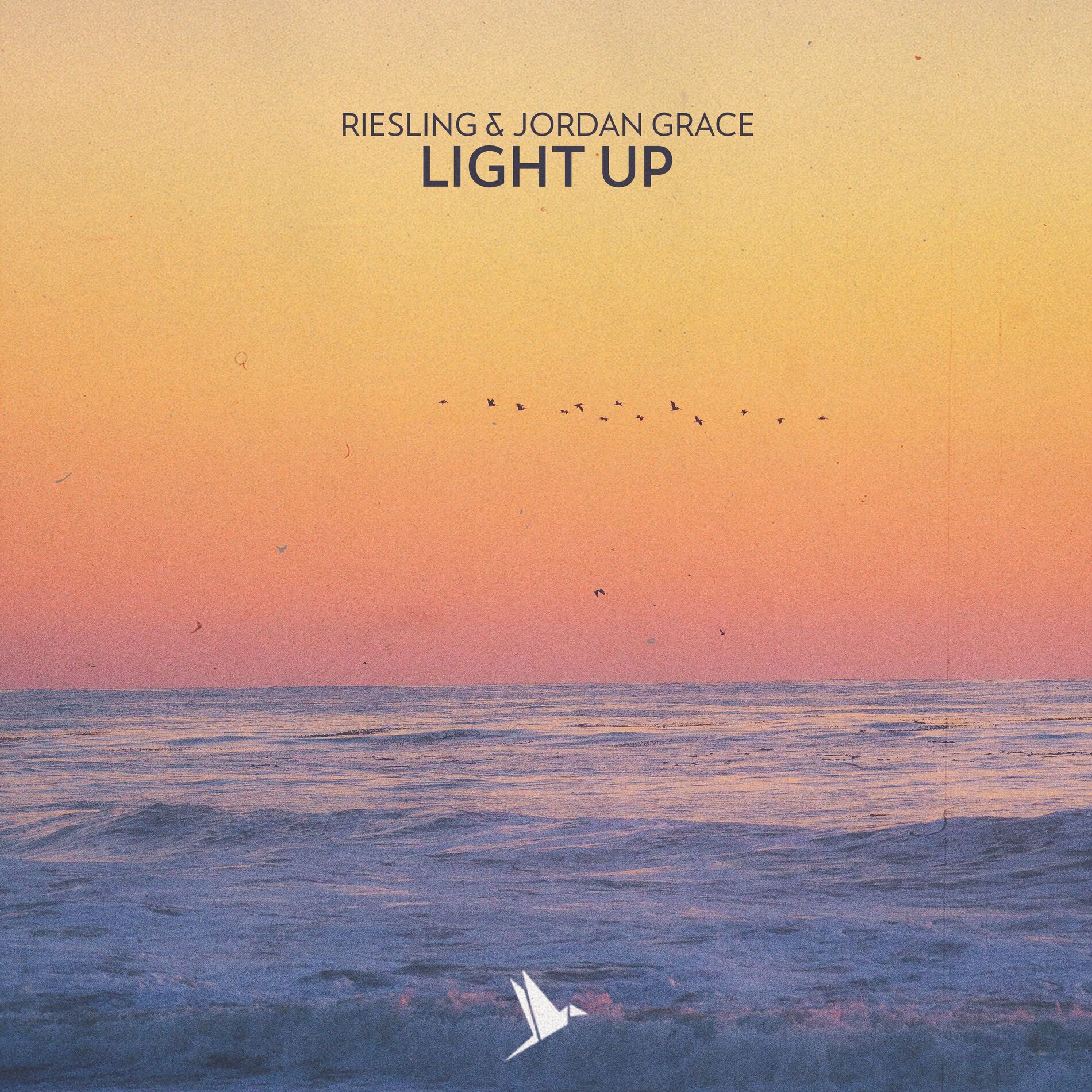 Album cover of Light Up