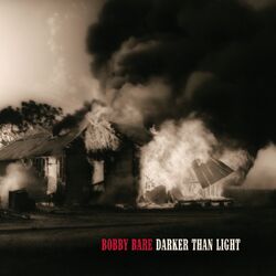 Cover of Darker Than Light