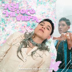 Cover of Así Tocó Mi Vida