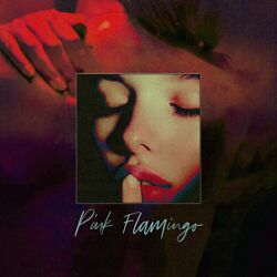 Cover of Pink Flamingo