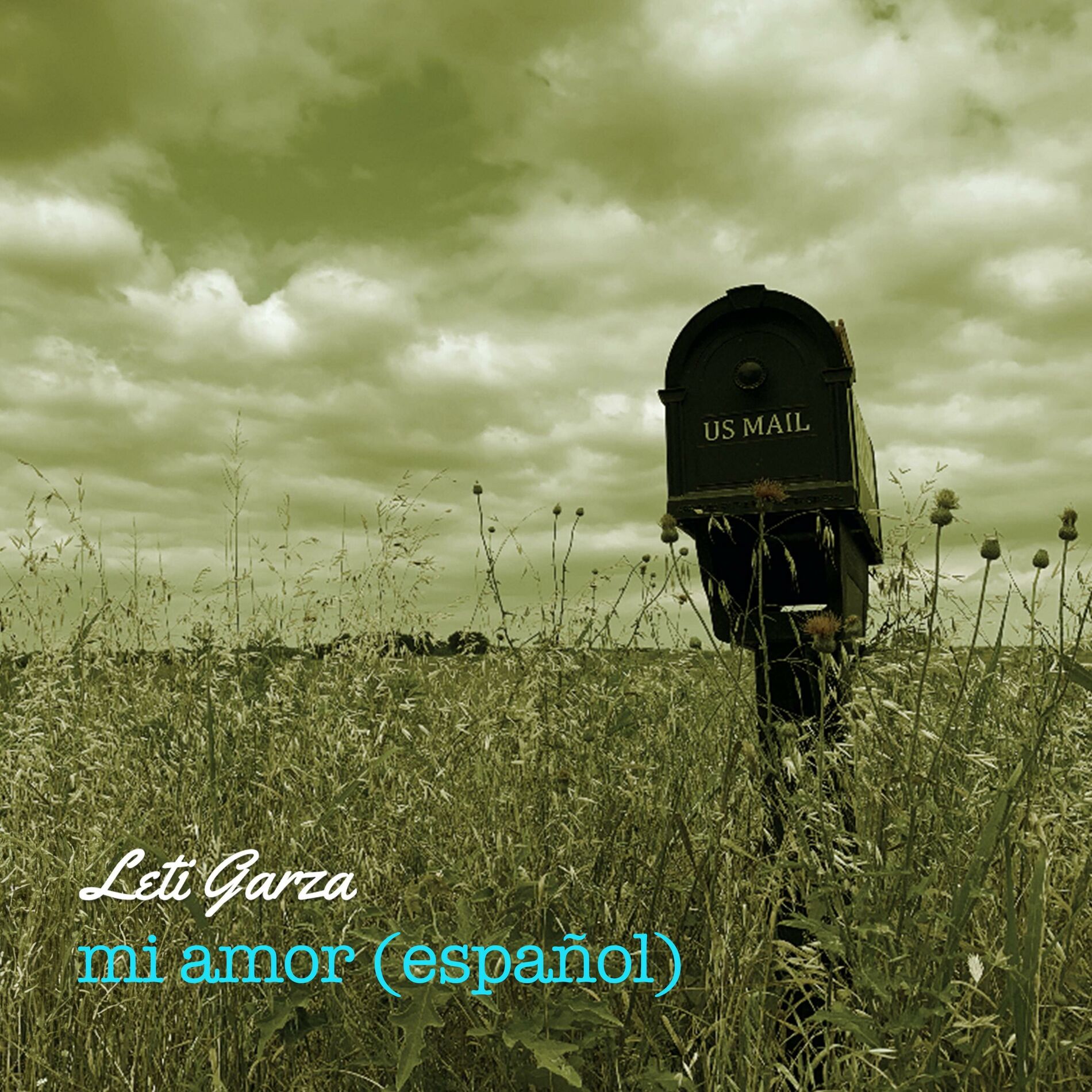 Album cover of Mi Amor (Español)
