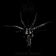 Satanic Black Metal in Hell