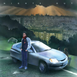 Cover of Nights Out