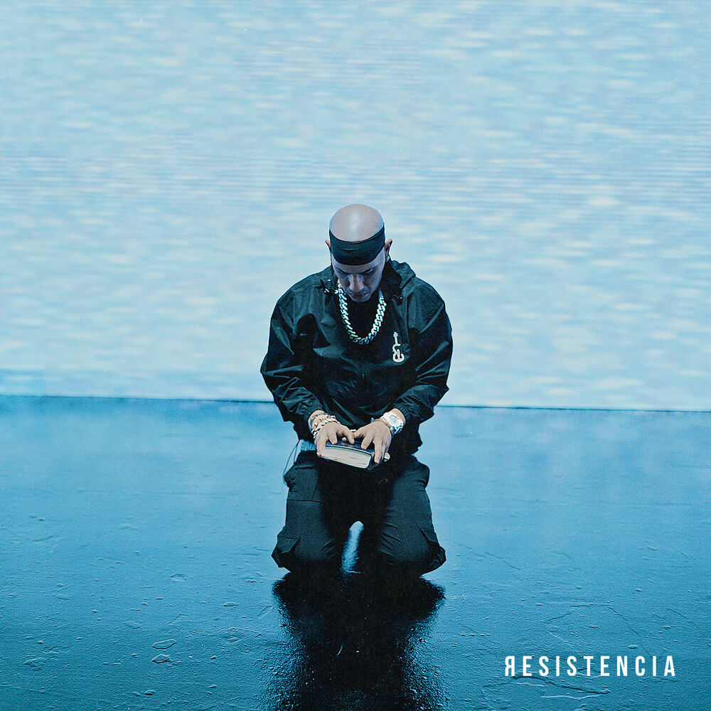 Picture of Resistencia