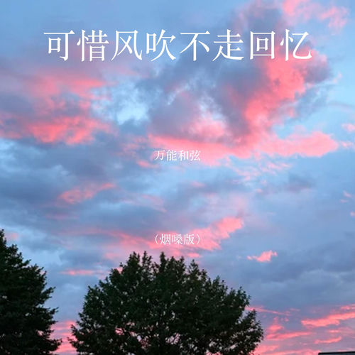 可惜风吹不走回忆 (烟嗓版)