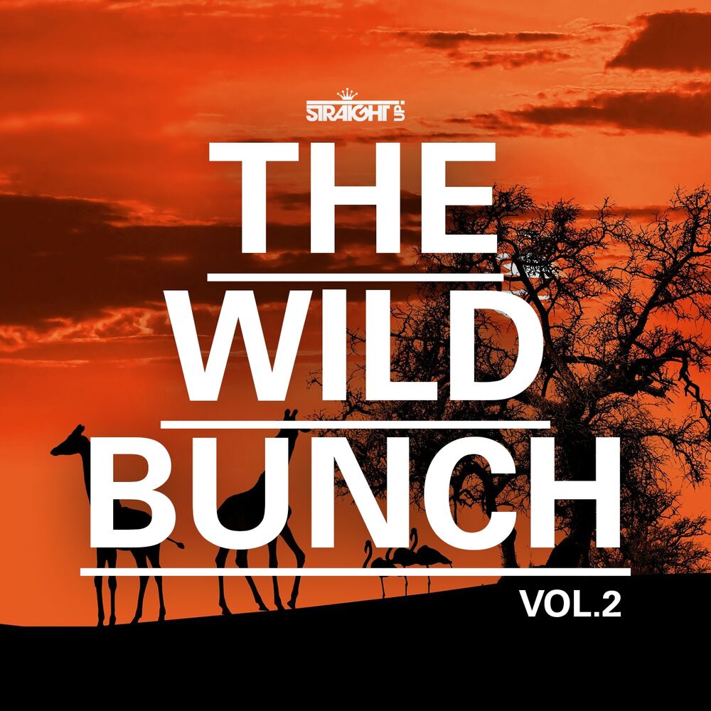 Picture of The Wild Bunch Vol. 2