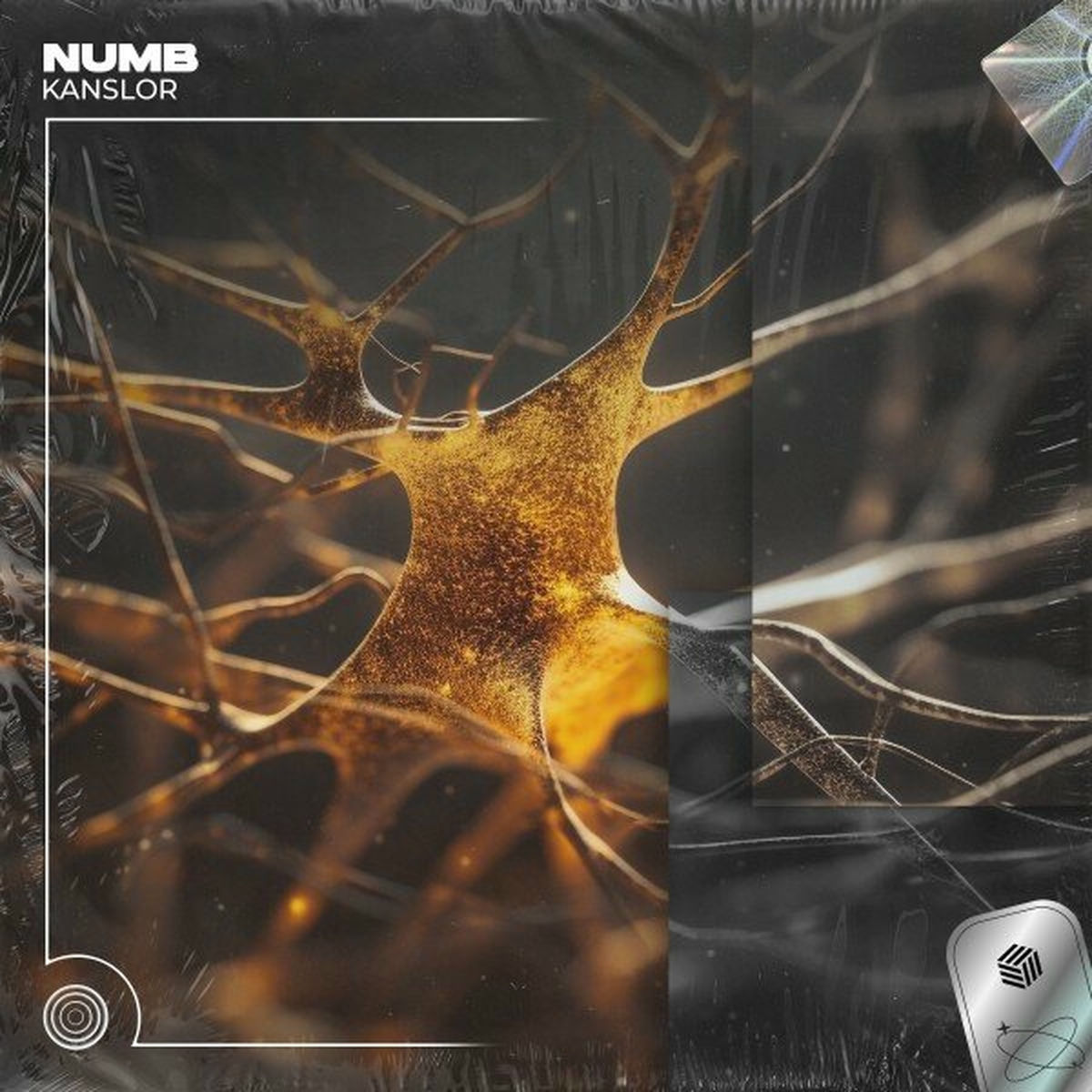 Album cover of Numb