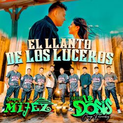 Cover of El Llanto de los Luceros