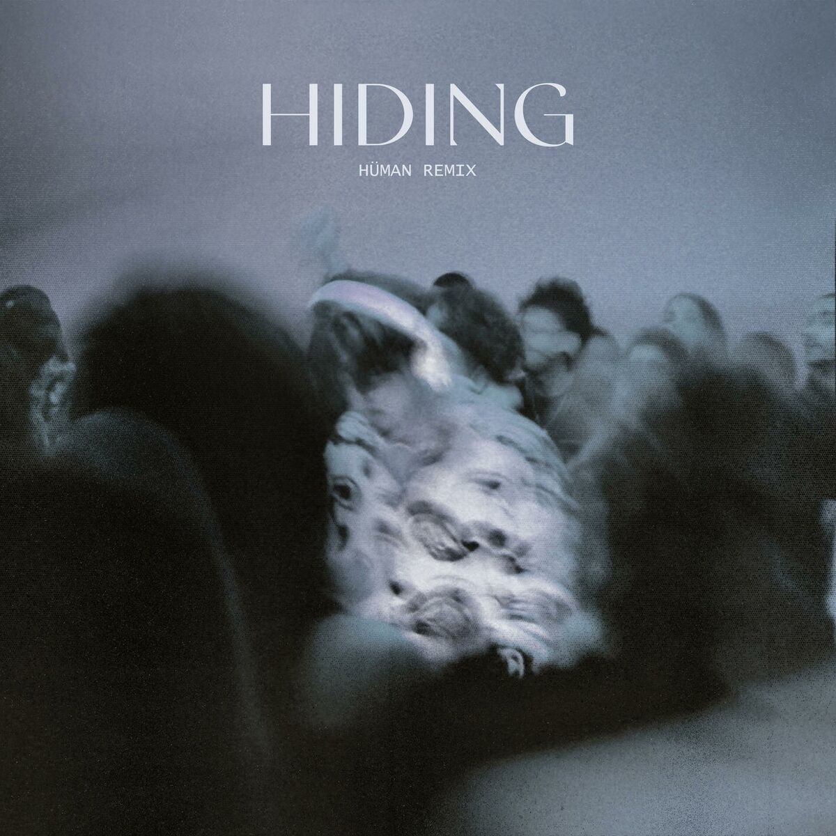 Album cover of Hiding