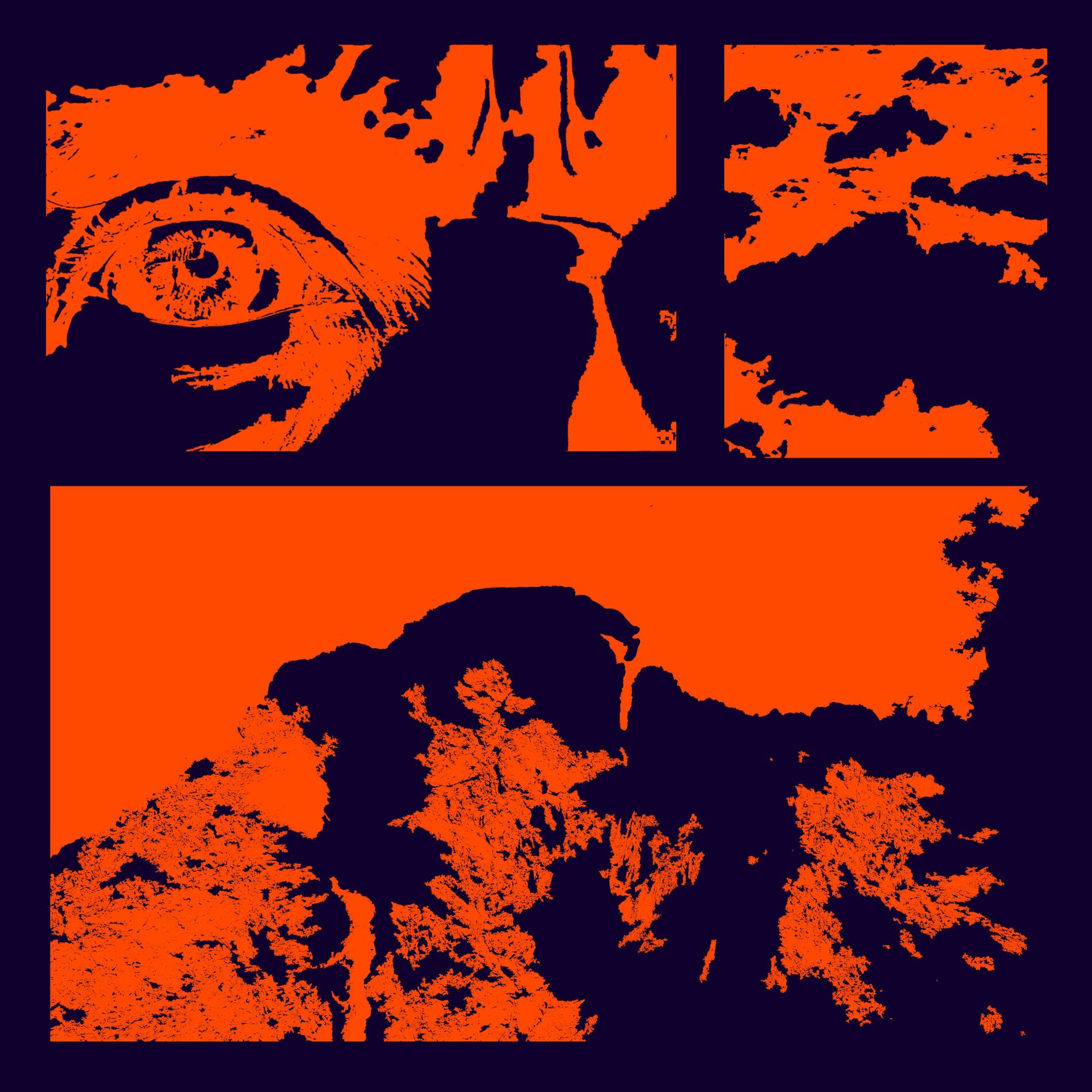 Album cover of So viel zu sehn