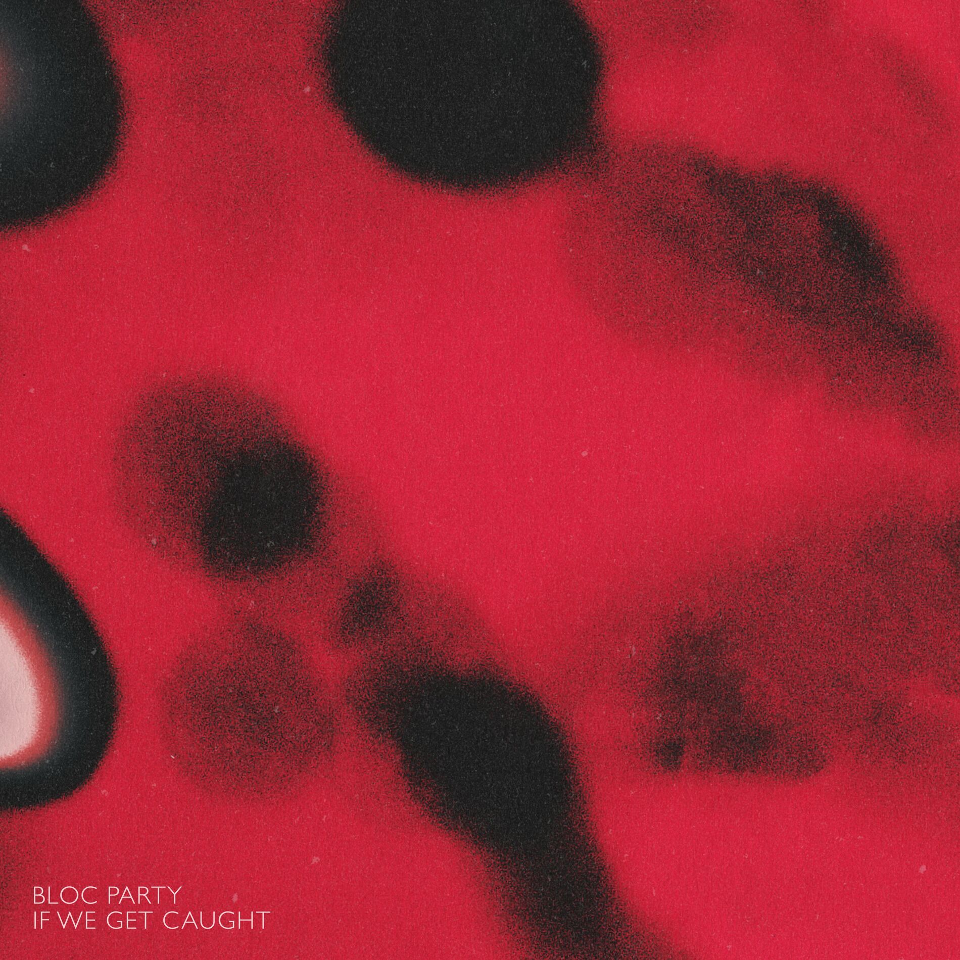 Album cover of If We Get Caught