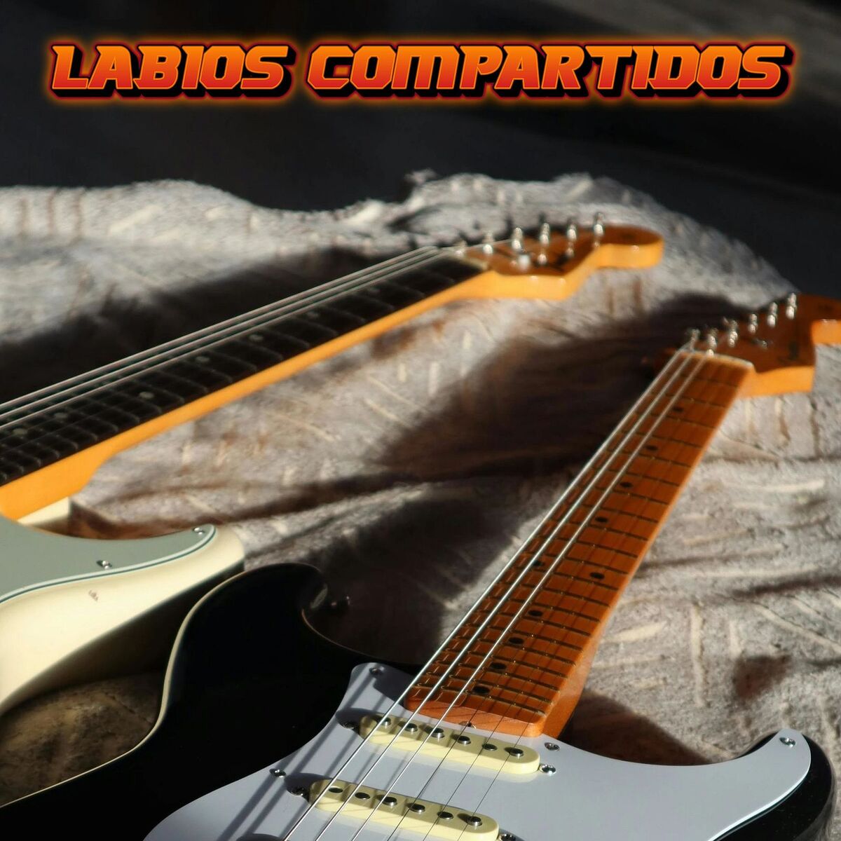 Album cover of Labios Compartidos