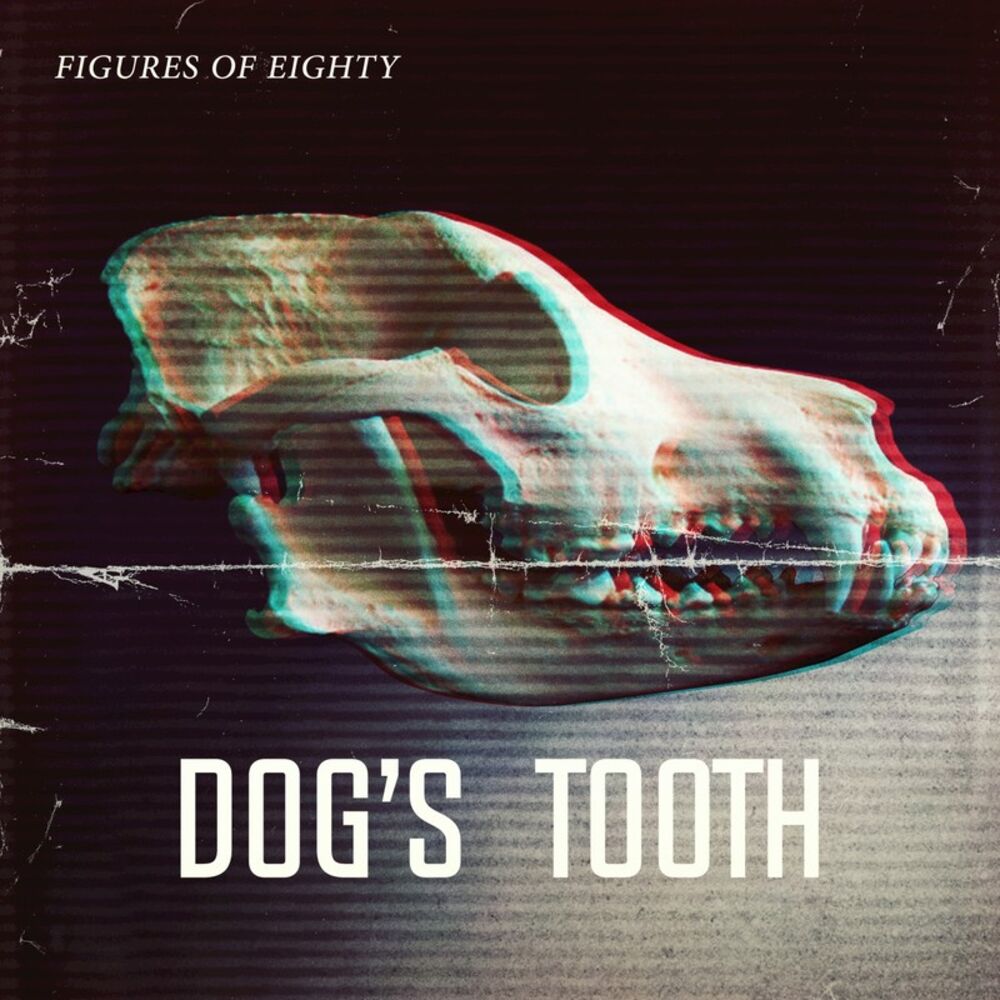Picture of Dogs Tooth