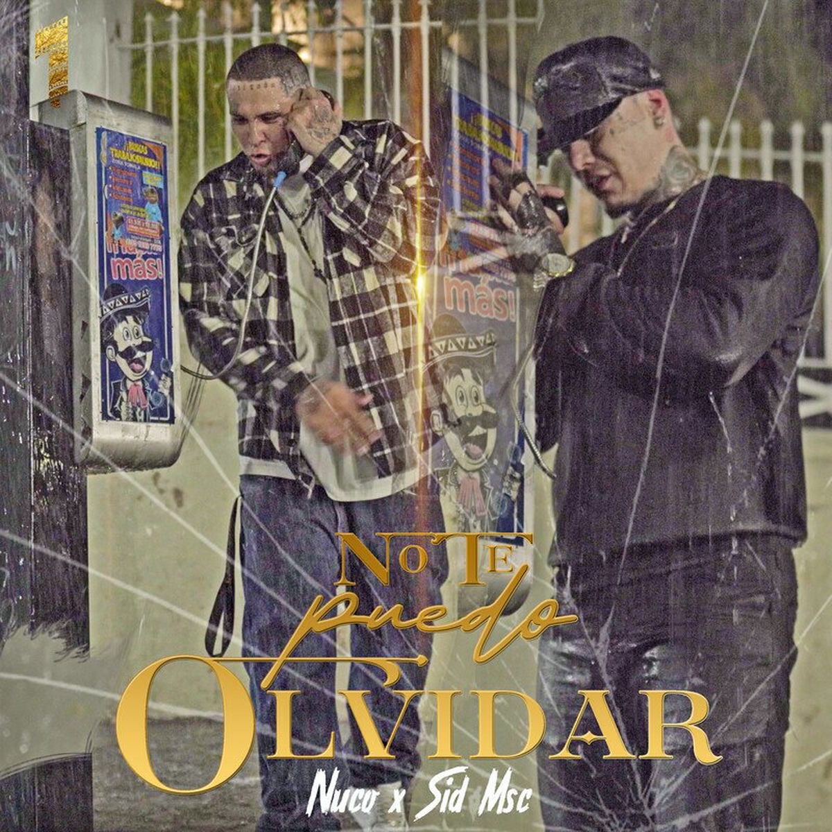 Album cover of No te puedo olvidar