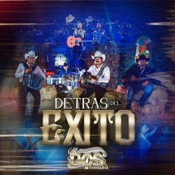 Cover of Detrás del Éxito