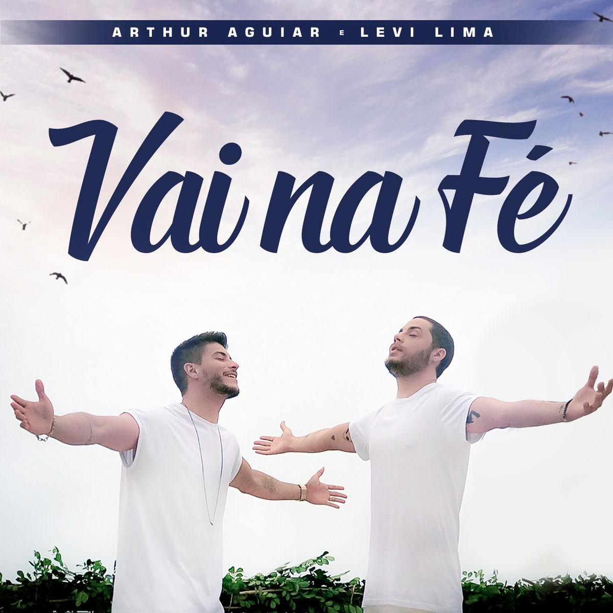 Album cover of Vai na Fé