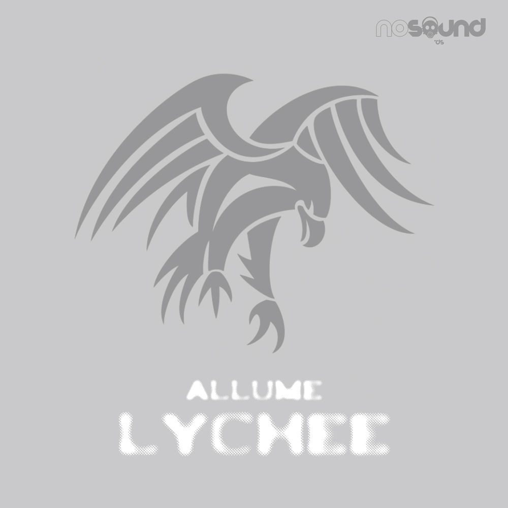 Album artwork for Chile by Allume