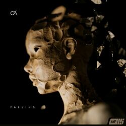 Cover of Falling