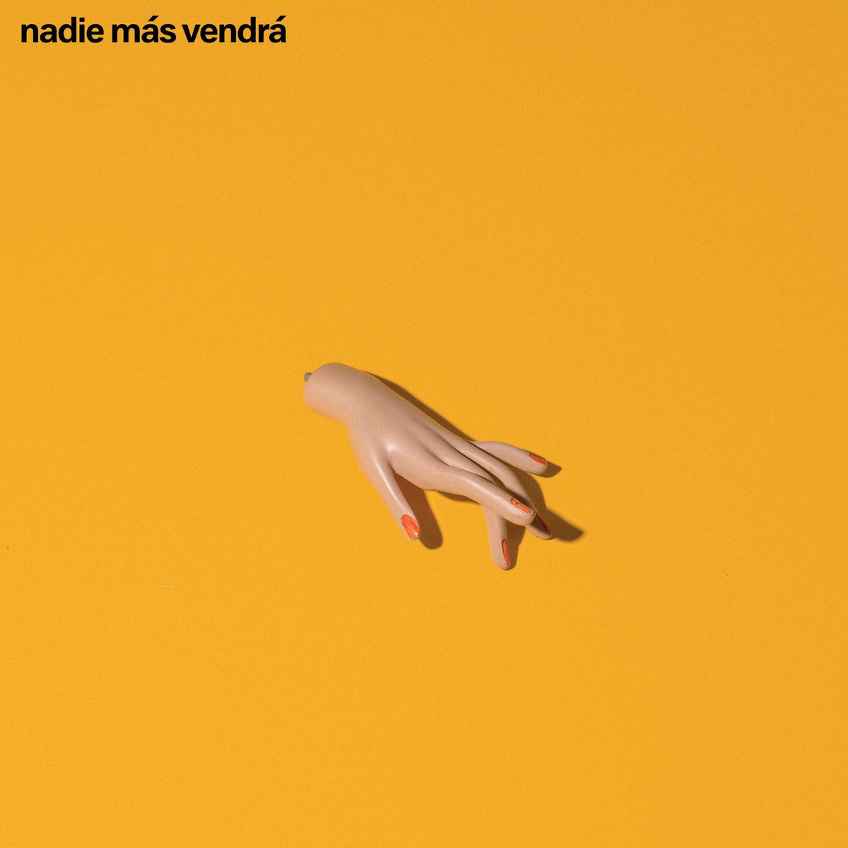 Album picture of Nadie Más Vendrá