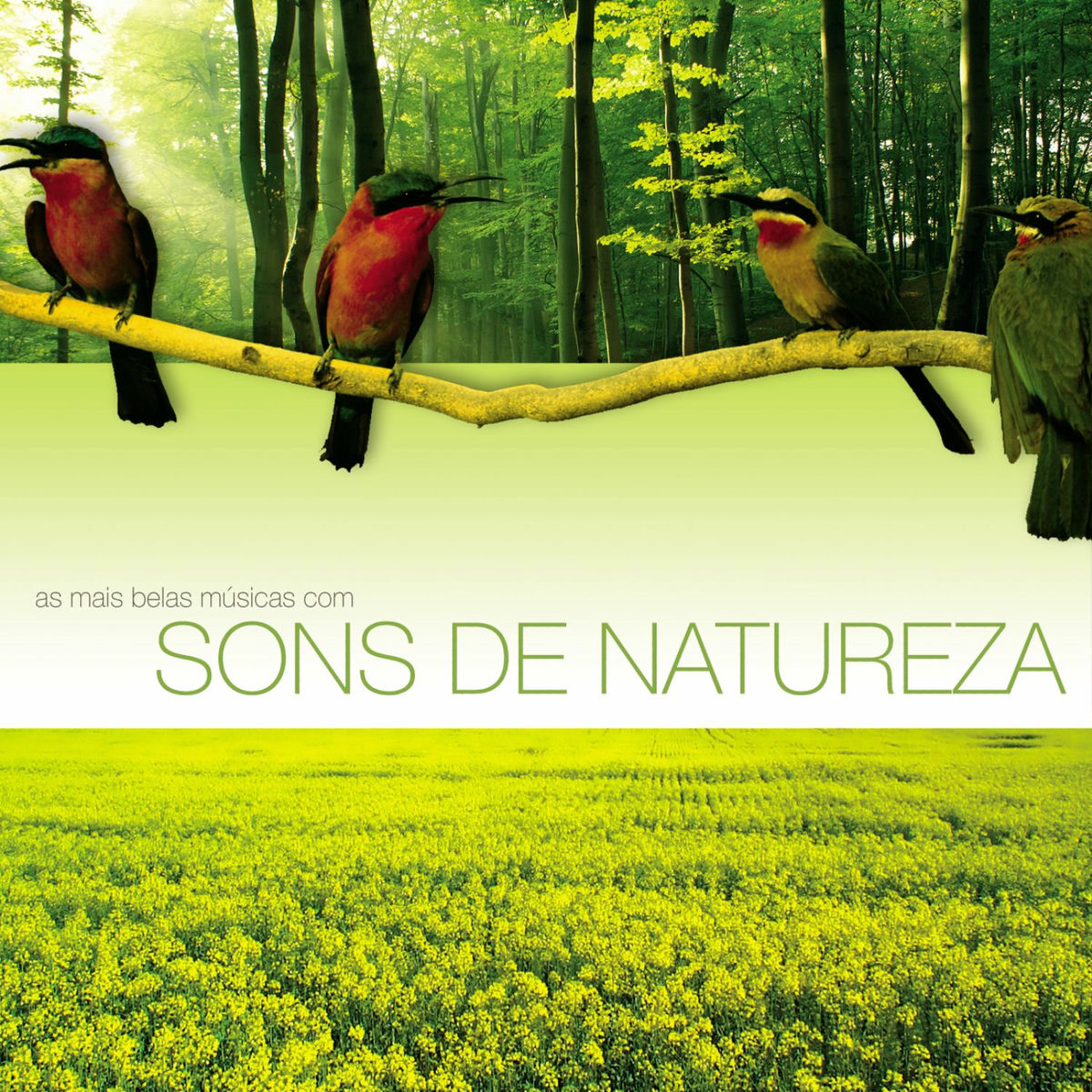 Album cover of Salut d'Amour, Op. 12