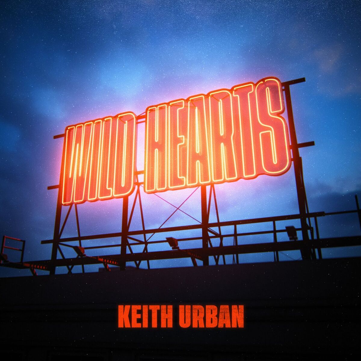 Album cover of Wild Hearts