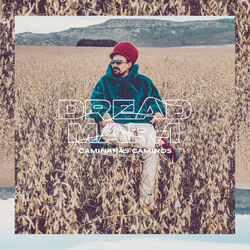 Cover of Caminarás Caminos