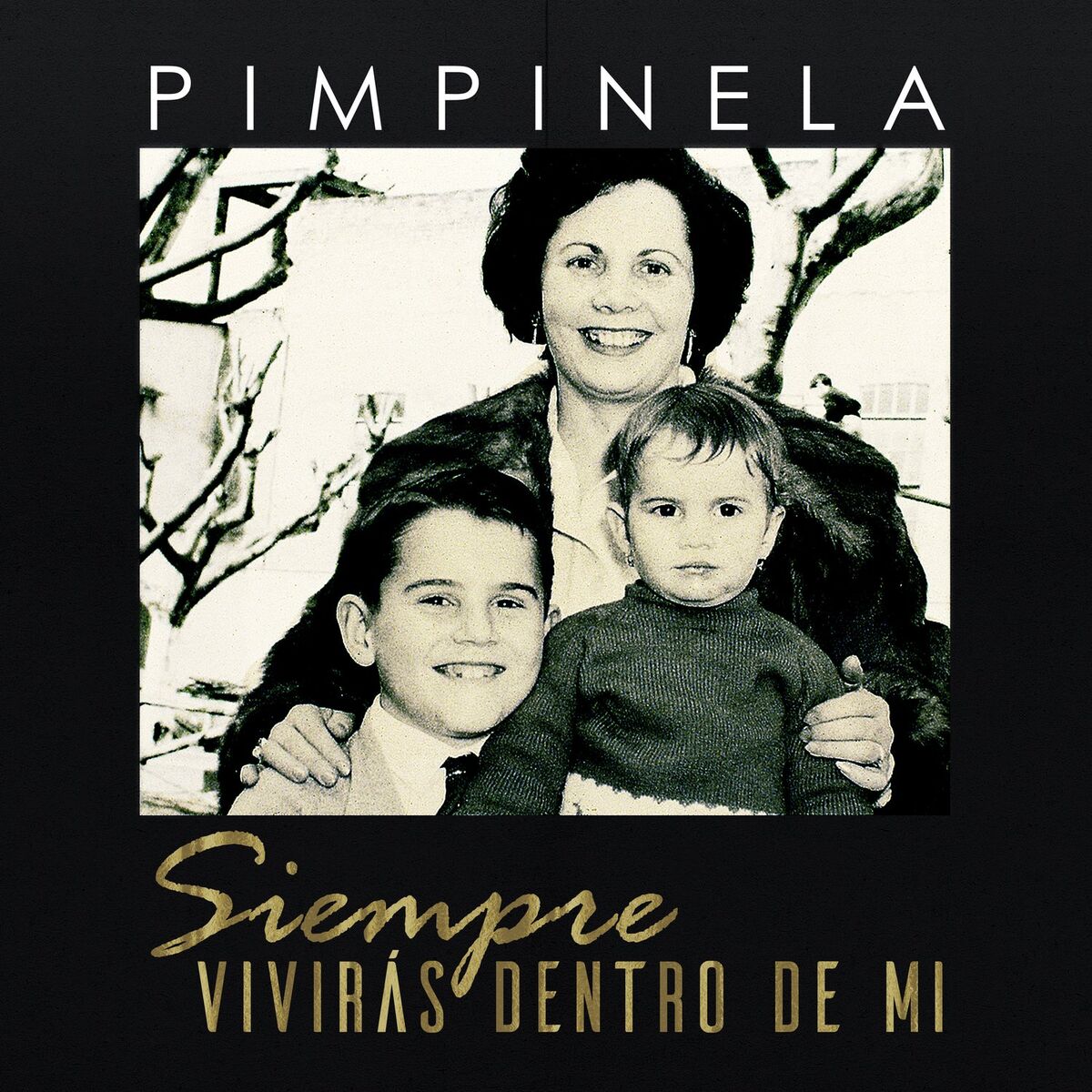 Album cover of Siempre Vivirás Dentro de Mi