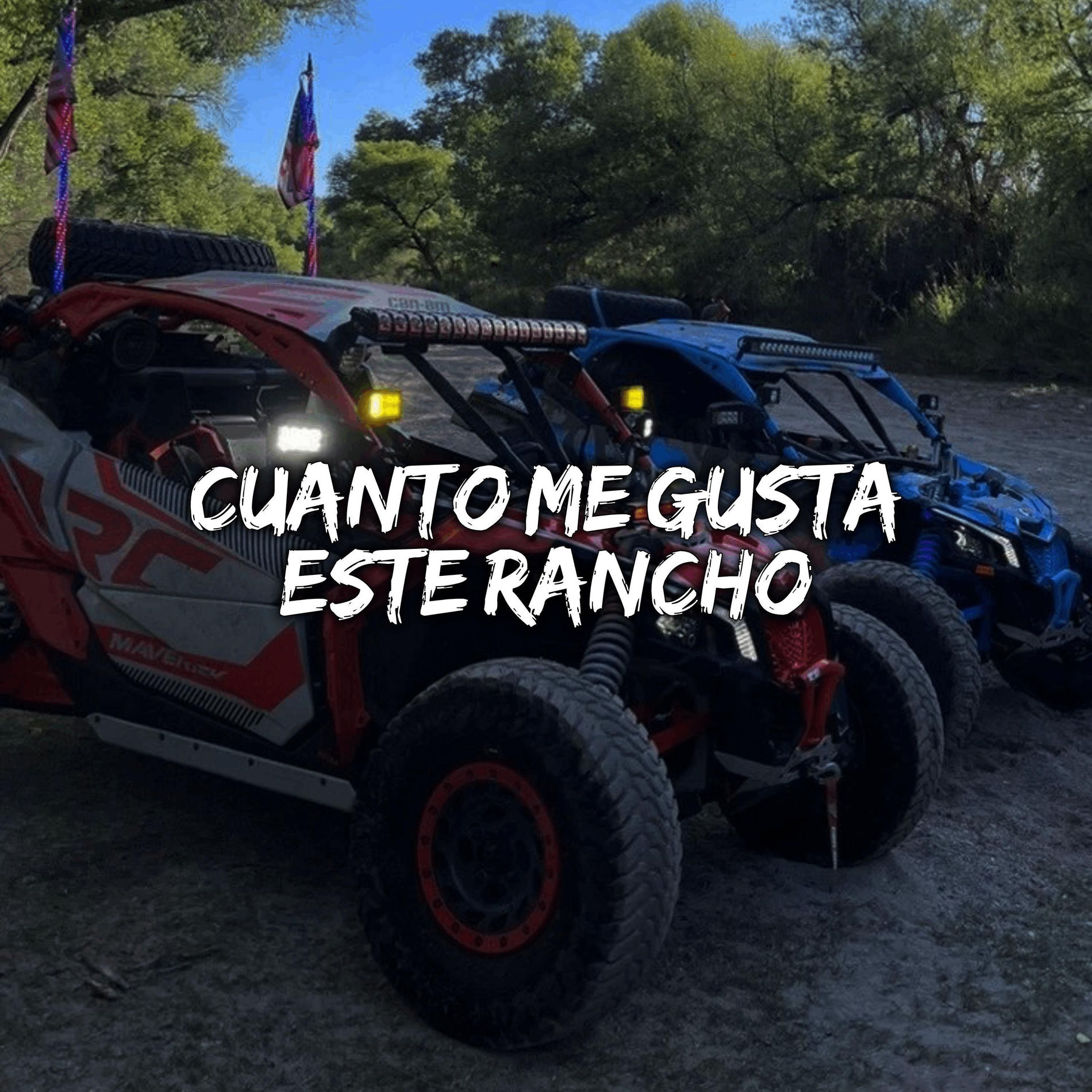 Album cover of Cuanto Me Gusta Este Rancho