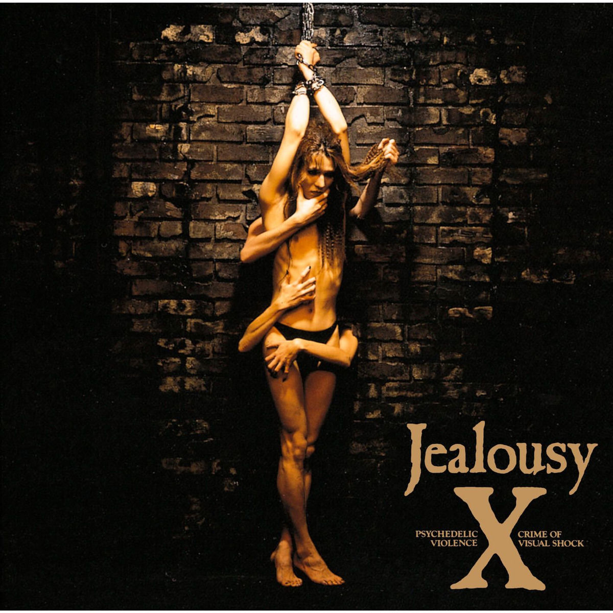 Album cover of Silent Jealousy