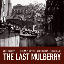Cover of The Last Mulberry