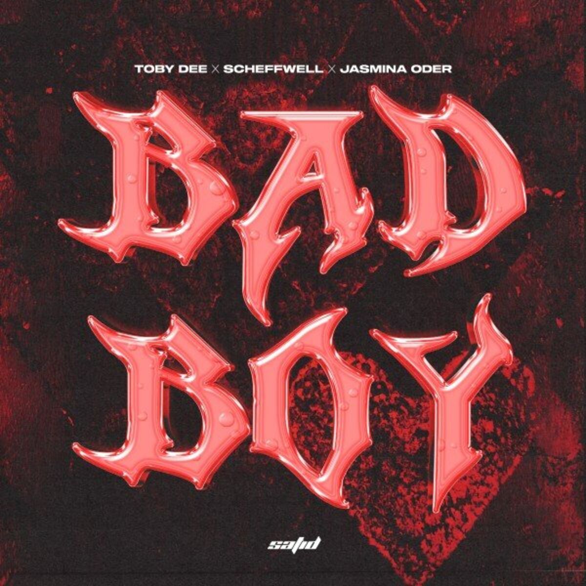 Album cover of Bad Boy