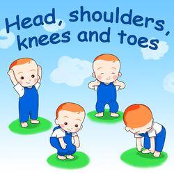 Cover of Head, Shoulders, Knees and Toes
