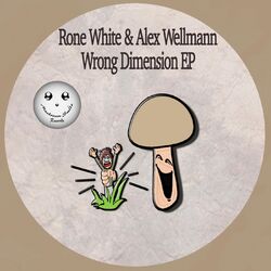 Cover of Wrong Dimension EP
