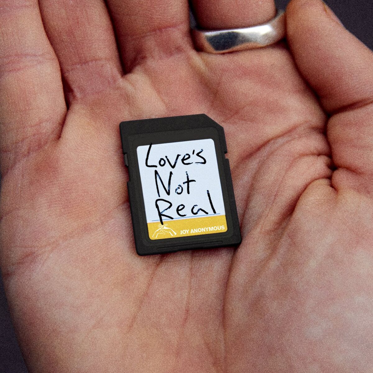 Album cover of JOY (Love's Not Real)