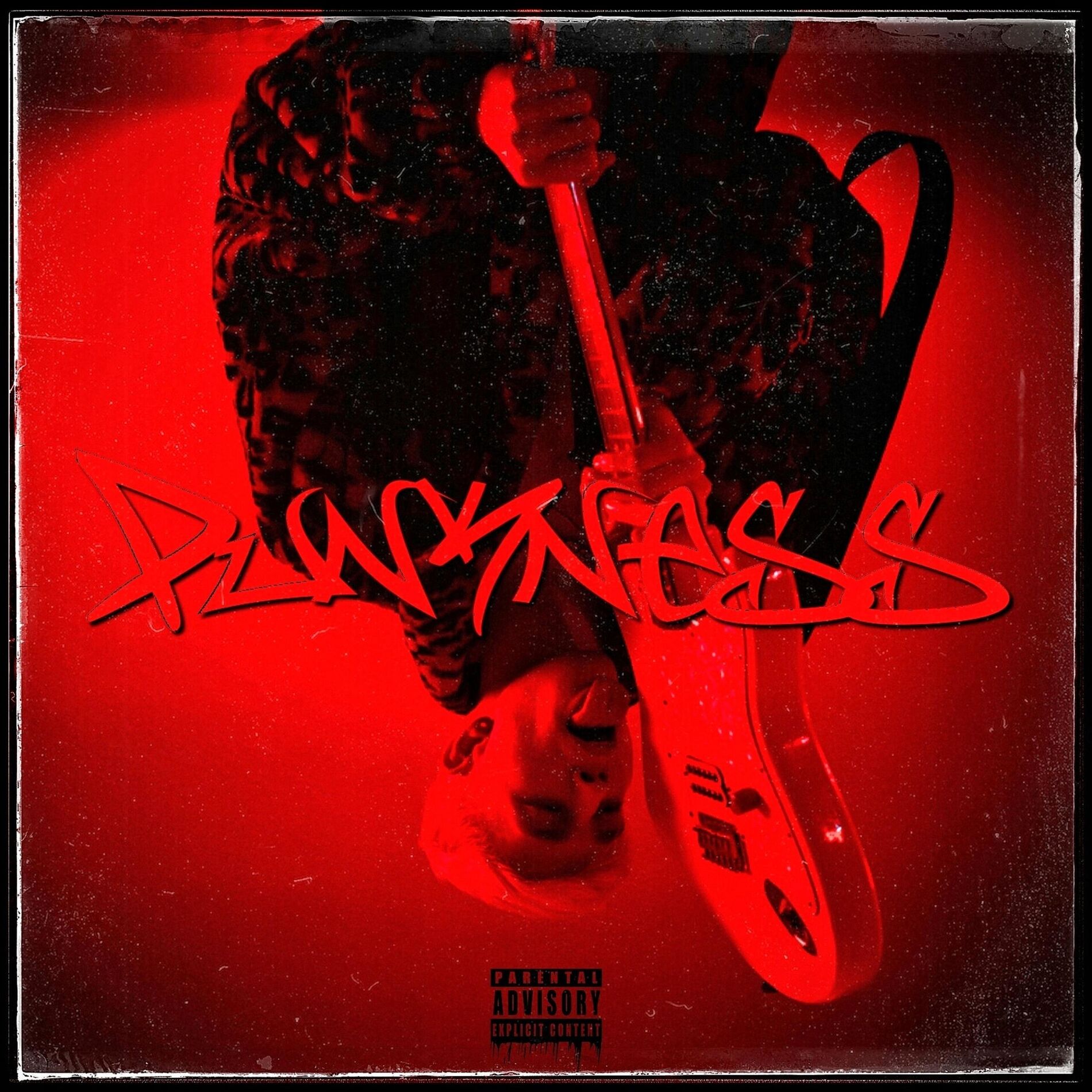 Album cover of PUNKNESS