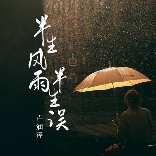 半生風雨半生誤