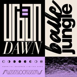 Cover of bailejungle