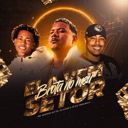 Cover of Ela Vem, Brota no Meu Setor